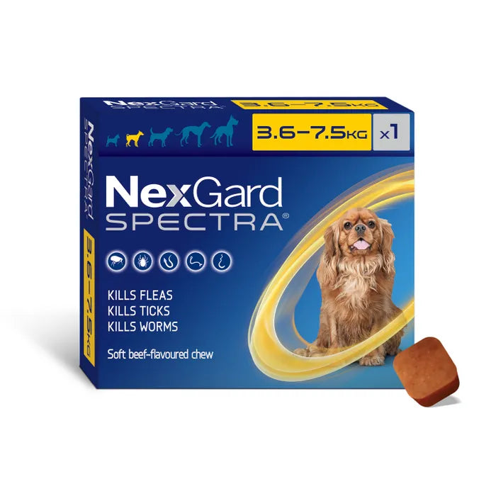 Nexgard Spectra Flea Tick & Worm Chewable Treatment 3.6-7.5kg (1 pack)